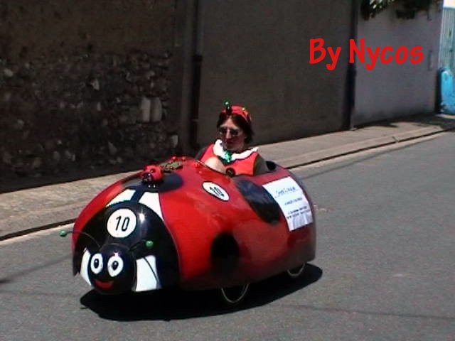 Coccinella 017.jpg
